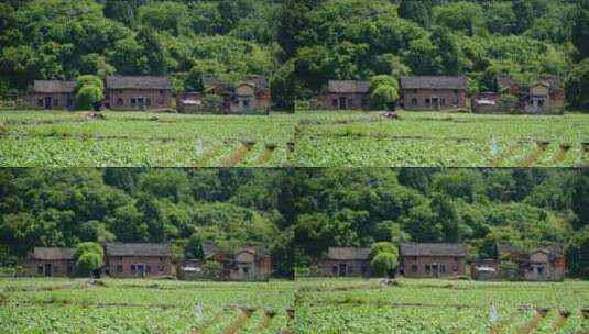 农村 安静的 农房 民房 乡村建设 近景高清在线视频素材下载