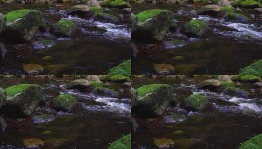 大自然森林小溪流水特写风光河流高清在线视频素材下载
