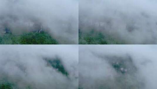 云海中的金佛山高清在线视频素材下载