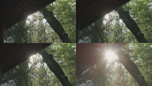 古建筑园林空镜8K实拍高清在线视频素材下载