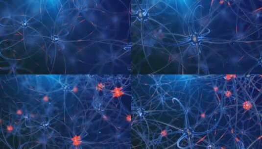 神经元4k高清在线视频素材下载