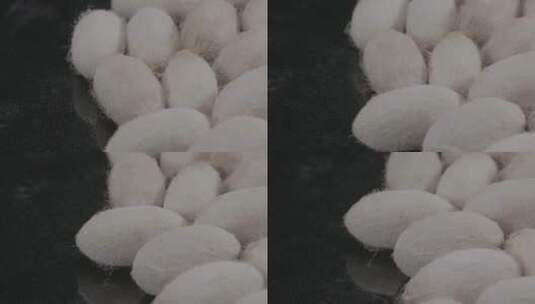 蚕茧蚕丝蚕蛹柞蚕蚕茧LOG视频素材高清在线视频素材下载