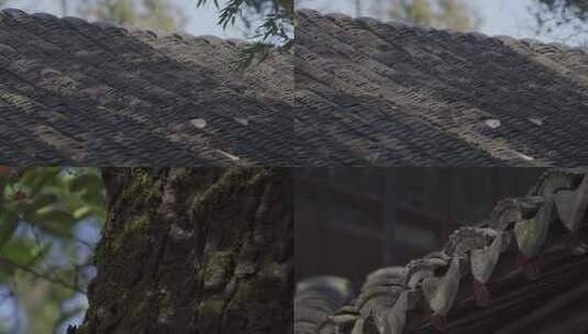 苏州园林 古镇 中式庭院 屋檐 树影 意向高清在线视频素材下载