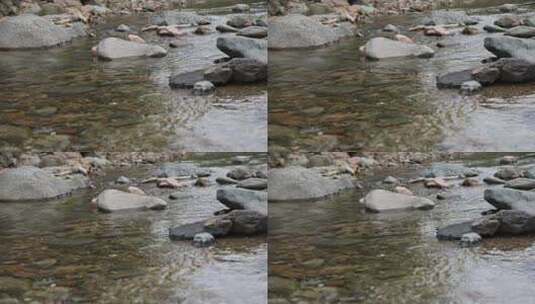 清澈缓缓流动的河流高清在线视频素材下载