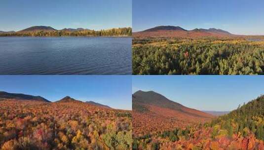 秋季湖泊河流森林香山红叶原始森林高清在线视频素材下载