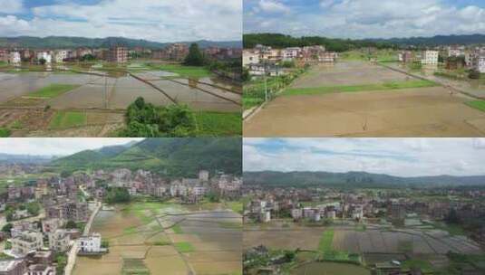 乡村稻田耕种高清在线视频素材下载
