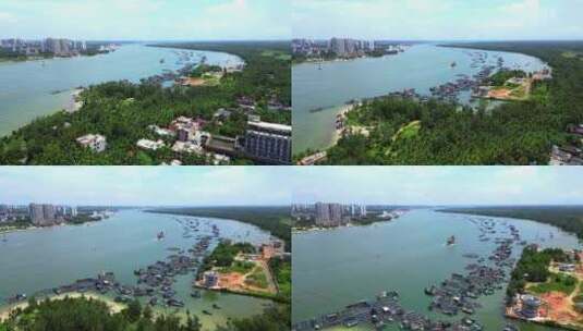 航拍海南省文昌市东郊椰林椰树风景高清在线视频素材下载
