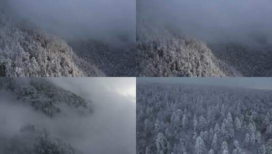冬季唯美森林雪山高清在线视频素材下载