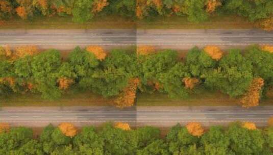 秋天的公路高清在线视频素材下载