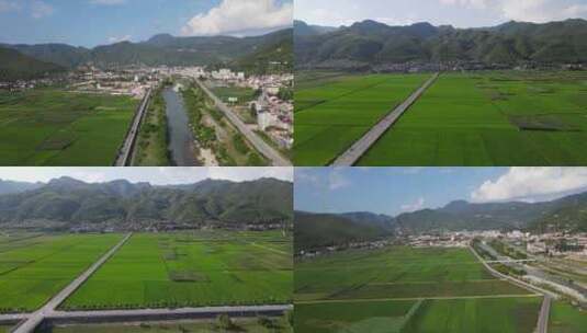 航拍农业种植大片稻田高清在线视频素材下载