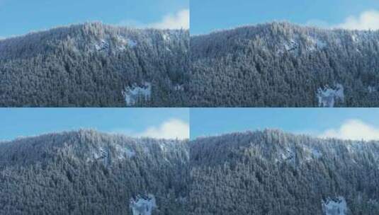 在明亮的阳光下，冰封的冬季森林被雪覆盖高清在线视频素材下载