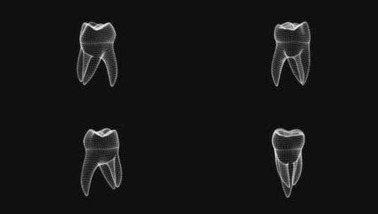 牙齿3D全息图高清在线视频素材下载