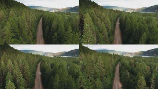  航拍在森林中的道路高清在线视频素材下载