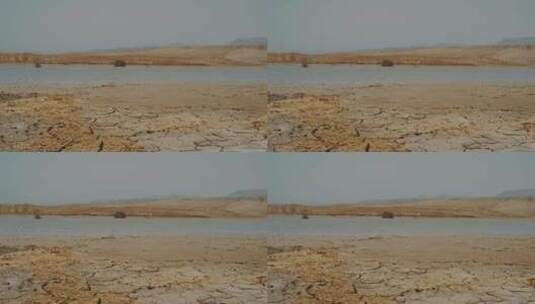 沙漠中的泉水高清在线视频素材下载