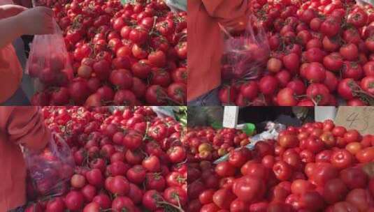 【镜头合集】赶大集购买西红柿番茄圣女果高清在线视频素材下载