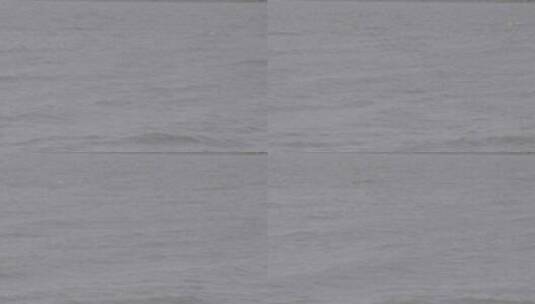 夏季六七级大风中的辽河水面LOG高清在线视频素材下载