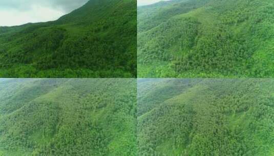 大山与森林高清航拍素材-04（1080P）高清在线视频素材下载