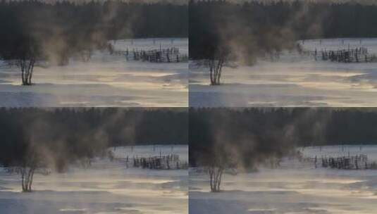红花尔基冬季零下40度暖泉蒸汽飘渺高清在线视频素材下载