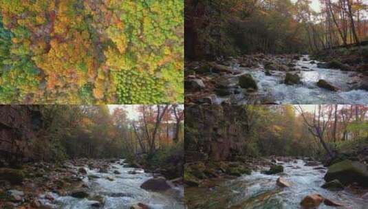 《4K超清》秋天枫叶色彩本溪航拍高清在线视频素材下载