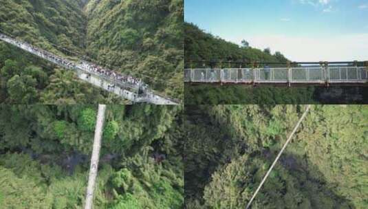 川西竹海森林玻璃桥吊桥高清在线视频素材下载
