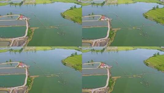 航拍养鱼池湖景高清在线视频素材下载