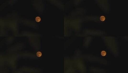 飞机飞过月亮第64秒中秋节十五月亮元宵节高清在线视频素材下载