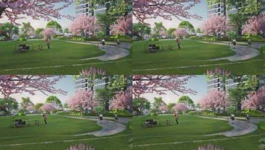 城市公园樱花草坪休闲素材高清在线视频素材下载