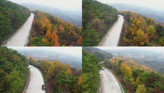 森林公路两旁秋景 夏天树叶绿色和秋天金色高清在线视频素材下载