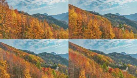 航拍安徽黄山徽派村落秋天风景塔川卢村宏村高清在线视频素材下载