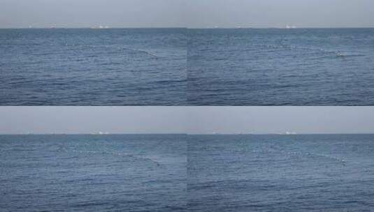 大海海水海平面波纹波浪自然风光高清在线视频素材下载