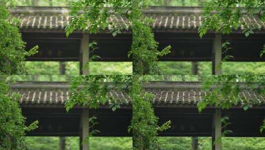 杭州虎跑晴天古建筑亭子绿色的树叶被风吹动高清在线视频素材下载