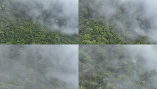 烟雨云雾缥缈的大山高清在线视频素材下载