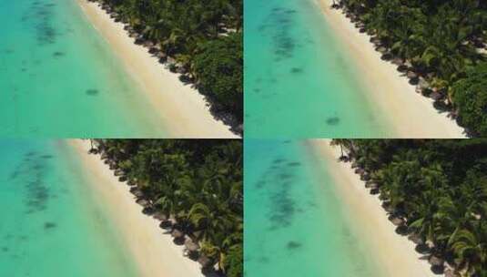 无人机在阳光明媚的白天拍摄。特写飞过棕榈树红树林和美丽的海滩高清在线视频素材下载