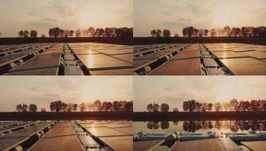 湖上的浮动太阳能农场项目高清在线视频素材下载