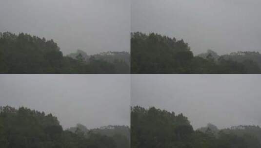 阴天森林乌云飘过树林阴雨天森林大景松树林高清在线视频素材下载