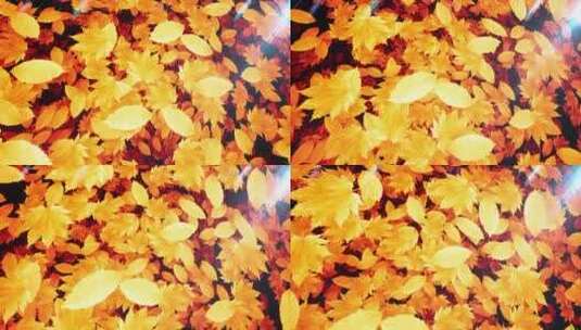 秋天金色的枫叶动画高清在线视频素材下载
