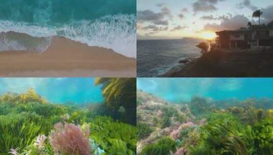 【合集】美丽的海洋风景高清在线视频素材下载