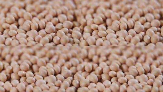 黄豆豆子豆农产品农作物优质黄豆高清在线视频素材下载