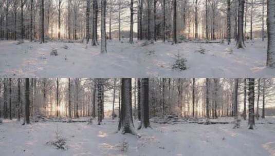 低空航拍大雪覆盖的森林高清在线视频素材下载