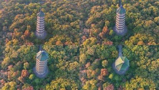 南京 灵谷塔 秋景 南京秋天 秋色 历史建筑高清在线视频素材下载