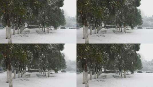 大雪飘落的慢镜头高清在线视频素材下载