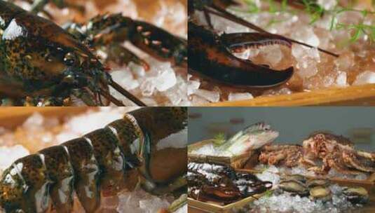 波士顿龙虾实拍素材高清在线视频素材下载