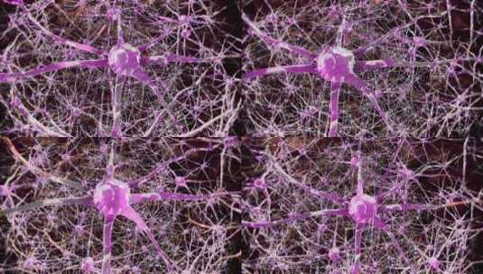 大脑神经元神经细胞活动高清在线视频素材下载