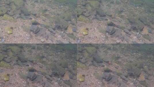 河边小溪河底海底水下世界流水岩石光影升格高清在线视频素材下载