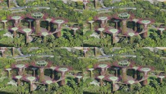 新加坡花园高清在线视频素材下载