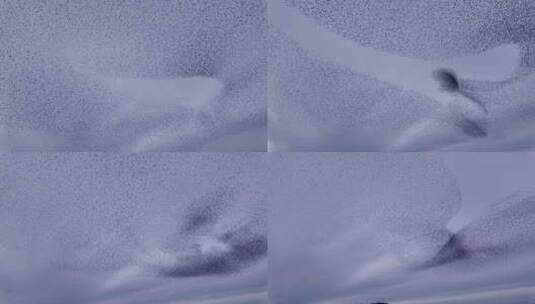 八哥的低语在天空中创造出惊人的图案高清在线视频素材下载
