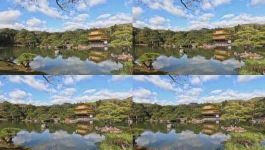 日本京都池塘上的金阁寺。阳光明媚的秋天视高清在线视频素材下载