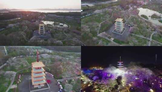 4k合集-武汉市东湖樱花园五重塔夜景航拍高清在线视频素材下载