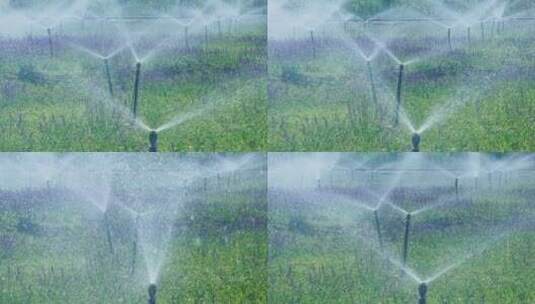 园林自动喷淋系统灌溉系统高清在线视频素材下载