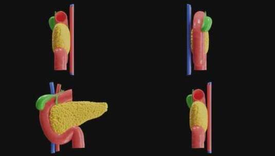 胰腺产生胰岛素的3D动画|阿尔法频道高清在线视频素材下载